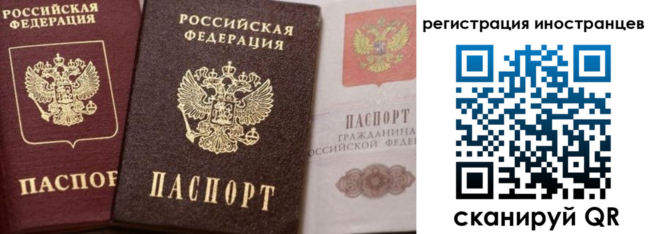 временная регистрация купить в Николаевске